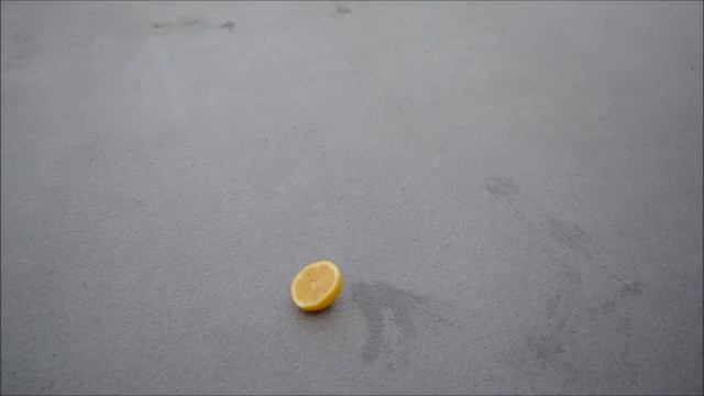 Lemon Dog смотреть онлайн