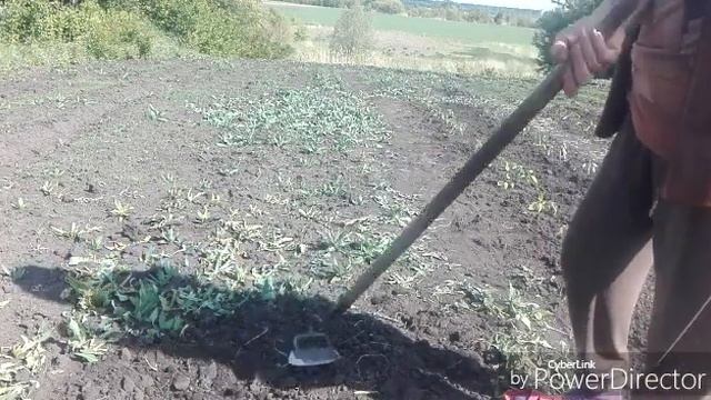 Приходится работать несмотря на жару / Жизнь в селе. смотреть онлайн