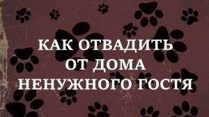 КАК ОТВАДИТЬ ОТ ДОМА НЕНУЖНОГО ГОСТЯ