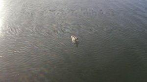 Поход Петрозаводск-Самара часть 3.