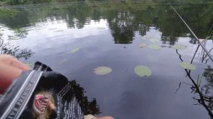 СЕКРЕТНАЯ ТЕХНИКА  ловли на поплавочную удочку.  Рыбалка на поплавок