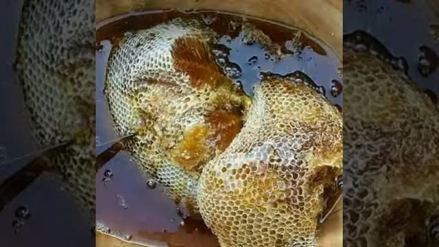 العربي امغران смотреть онлайн