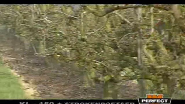 "Perfect" Flail Chopper with Brush Sweeper смотреть онлайн