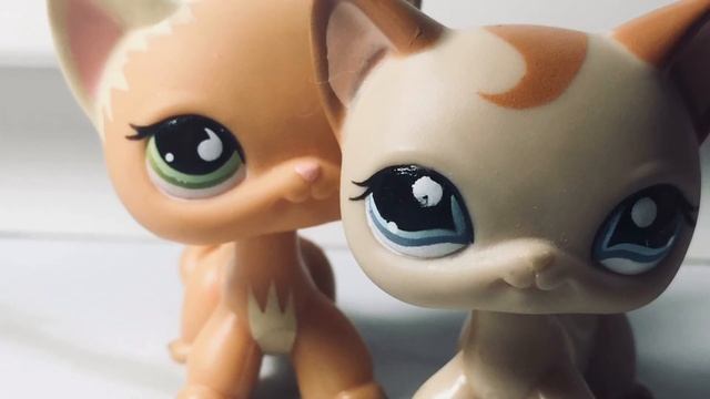 |MEP| Marshmello & Anne-Marie - FRIENDS [Читайте описание] смотреть онлайн