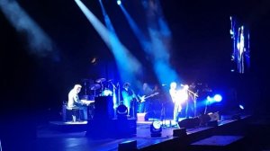 /Dire Straits CLASSIC "Private Investigations" Covered Live By The Dire Straits Experience! #mk