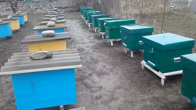 Пчелы и дождливая погода унас смотреть онлайн