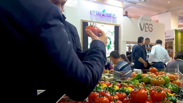 Syngenta 2018 Growtech Fuarı'nda! смотреть онлайн
