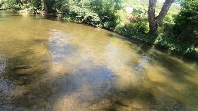 Мухарски риболов на река Струма / Fly fishing on the Struma River смотреть онлайн