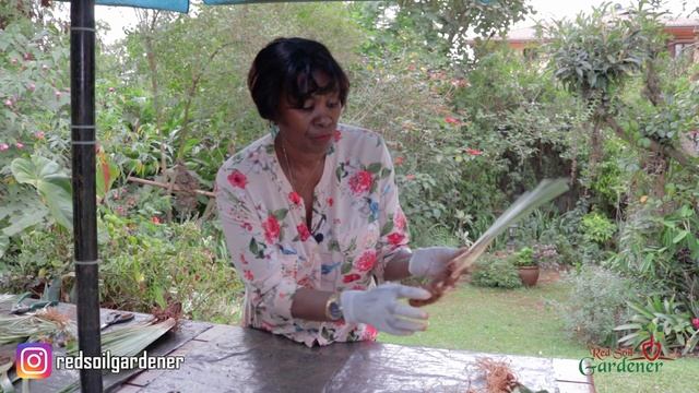 Garden tips for beginners | Dividing and replanting your Iris plant смотреть онлайн