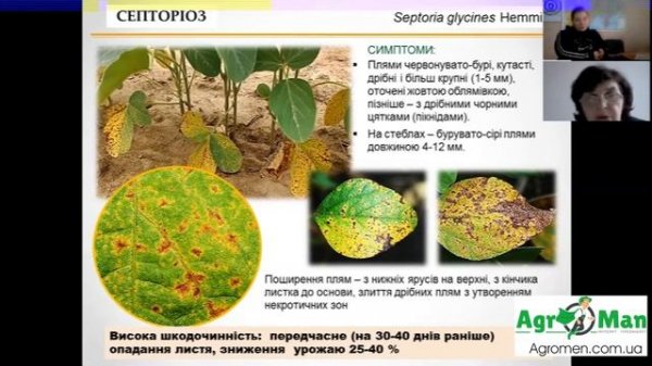 Септоріоз сої