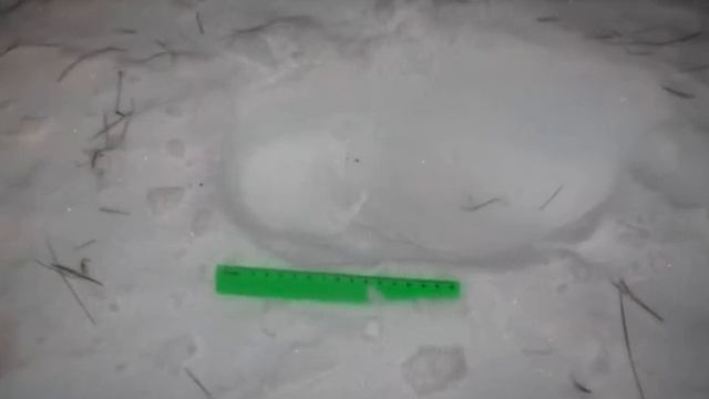 В Зауралье задержали жителей Приморья, два года скрывавшихся от правосудия смотреть онлайн