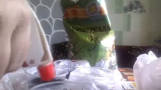 Сею Рудбекию, смотреть онлайн