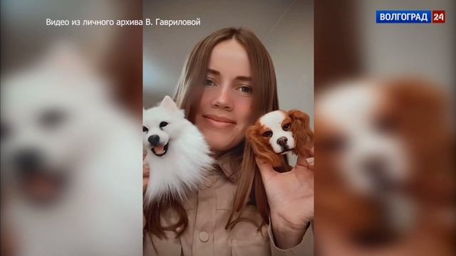 Волгоград 24 - специальный выпуск с моим участием
