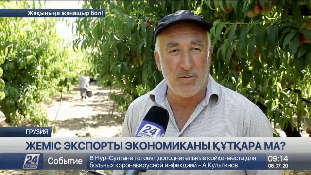 Грузия карантин кезінде жеміс-жидек баптауға күш салды смотреть онлайн
