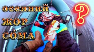 20.10 ЖОР Сома по холодной воде !