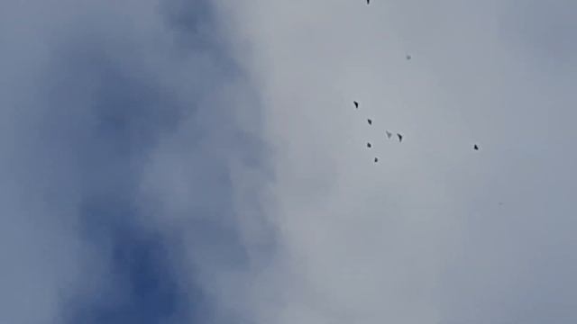 Очередной подъём 30 01 2022 года смотреть онлайн