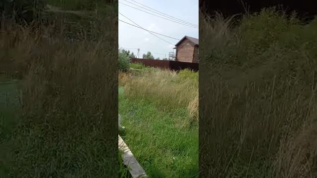 Беспредел Голубицкой администрации, производится слив фикальных масс в открытый грунт. смотреть онлайн