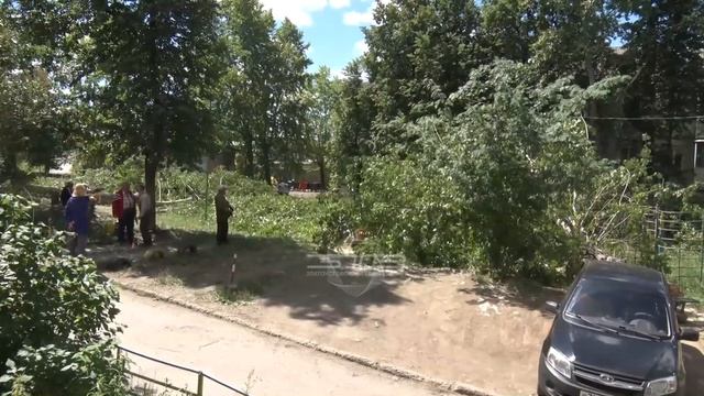 Жители улиц Грибоедова и Тургенева обратились в «Наш Златоуст» с просьбой помочь им убрать тополя смотреть онлайн
