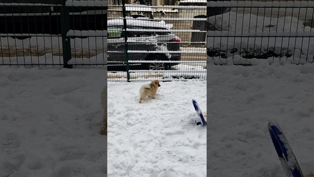 Ялта 💖💖💖 Первый снег Мирочки 😃🥰❄️❄️❄️ смотреть онлайн