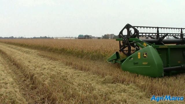 John Deere S SERIES 660 trebbiatura riso смотреть онлайн
