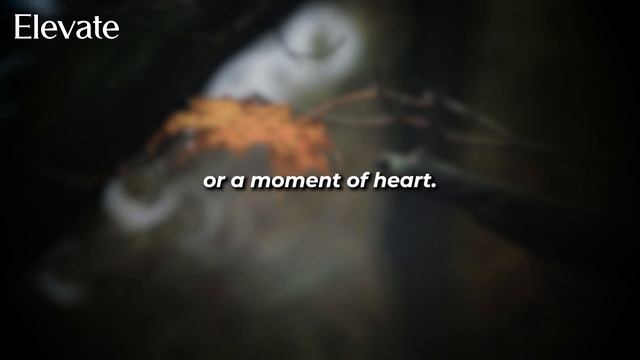 Mindfulness and evolution with Dr Joe Dispenza смотреть онлайн