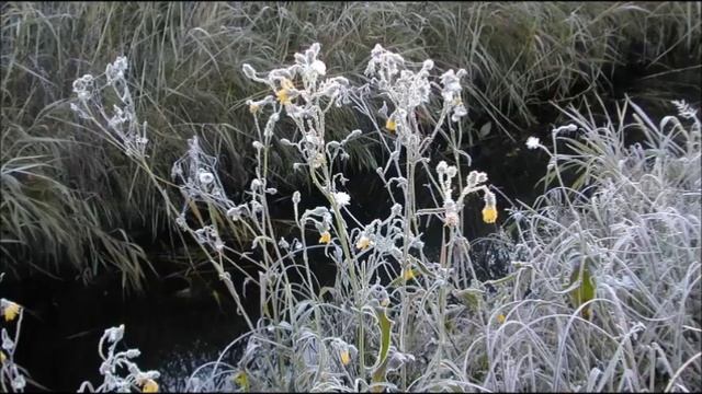 Иеромонах Роман. «Исчезну я с лица земли...» смотреть онлайн