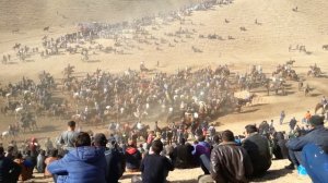 Бузкаши Таджикистан