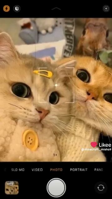 видос смотреть онлайн