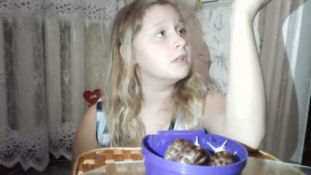 Улитки Ахатинки - Чопи Чупи Чапи Чипи смотреть онлайн