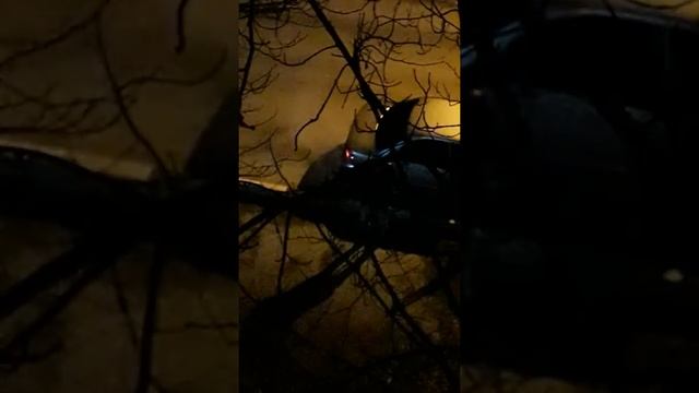 Приехал девочек кадрить. 😂 ,,кадр,, пьяный. смотреть онлайн