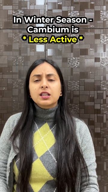 Spring wood vs Autumn wood | Anatomy of Flowering Plants #neet #shorts смотреть онлайн