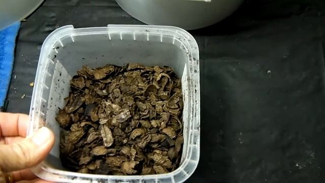 PART 2 Bioponics Combining Biochar Compost Tea Urine Unique Unusual смотреть онлайн