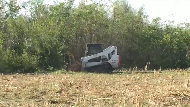 Bobcat с мульчером/Bobcat Forestry Mulcher
