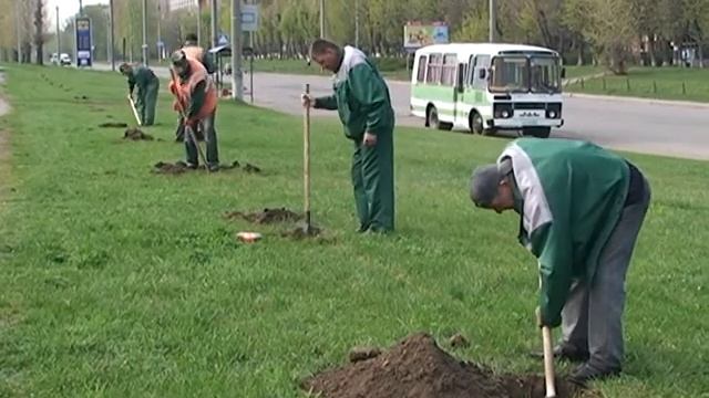 Висадили дубову алею смотреть онлайн