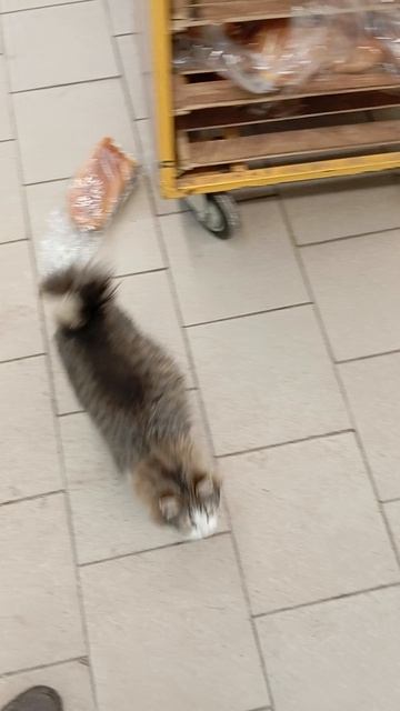 Пятëрочка спасибо что приютили смотреть онлайн