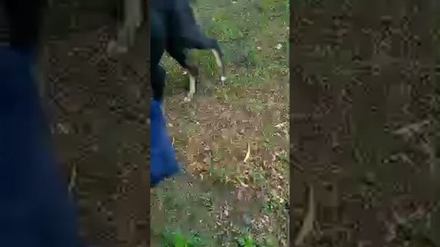 Видео на лето из барханом он тянет меня. смотреть онлайн