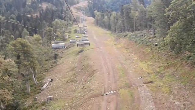 Эдельвейс 1 смотреть онлайн
