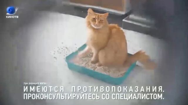 Рекламный блок (Кино ТВ, 20.08.2023) смотреть онлайн