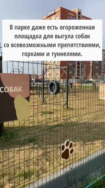 Парк «Родные Просторы», ул. Западная п. Знаменский. смотреть онлайн