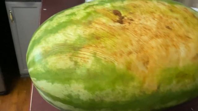 A giant melon смотреть онлайн