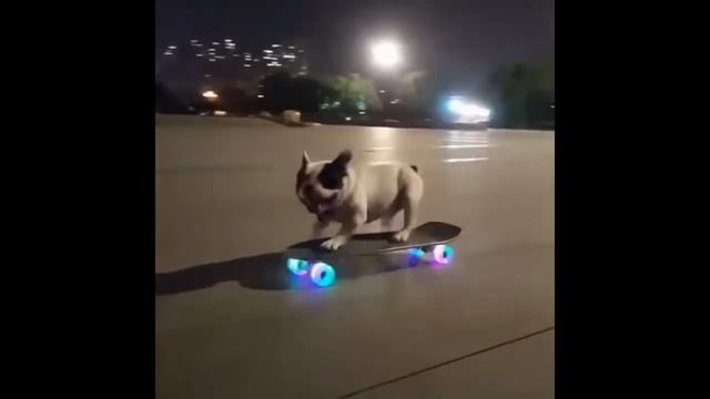 eeleya phoon - skating (СЛИВ КЛИПА 2020) смотреть онлайн