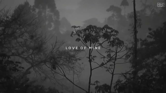 Dandelions With Rain Sounds | Rain Mood Song | Dandelions Ringtone