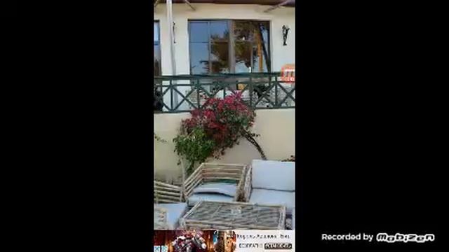 Тополь квест=) смотреть онлайн