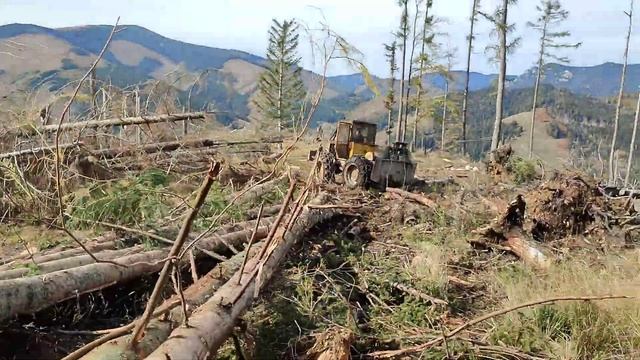 SKIDDER LKT 81 T смотреть онлайн