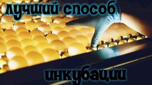 ЛУЧШИЙ СПОСОБ ИНКУБАЦИИ КУРИНОГО ЯЙЦА///ИНКУБАТОР МАТРИЦА ВЕГАС