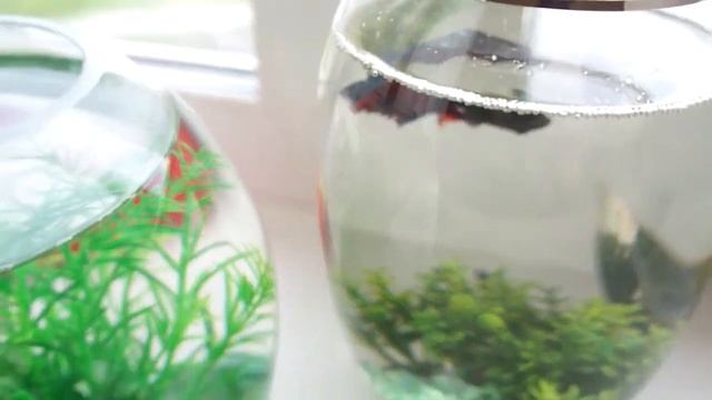 Mari Make - МОЕ ПЕРВОЕ ВИДЕО :) смотреть онлайн