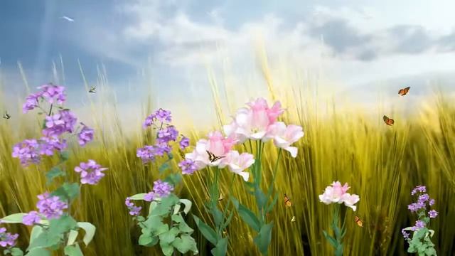 [Style Proshow] Butterfly Paradise Screensaver смотреть онлайн