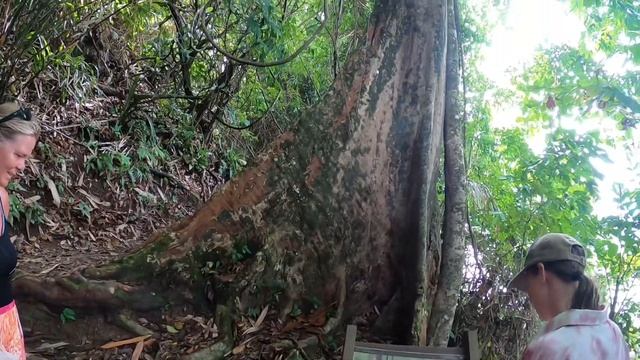 Khao Lak National Park смотреть онлайн
