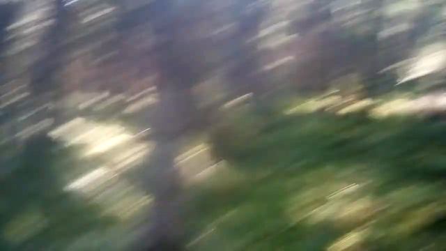 Проверка петель на рябчиков смотреть онлайн