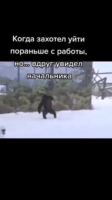 мем #3 смотреть онлайн
